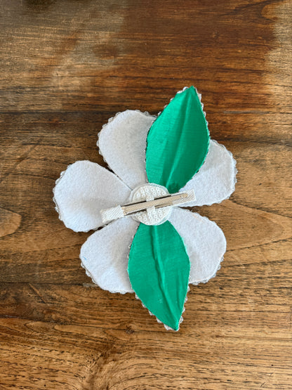 Fiore Bianco in Setta